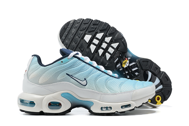 2021 New Nike Air Max Plus Baby Blue White
